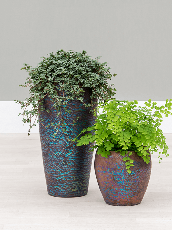 Stor utbud av krukor och k&auml;rl - wedogreen