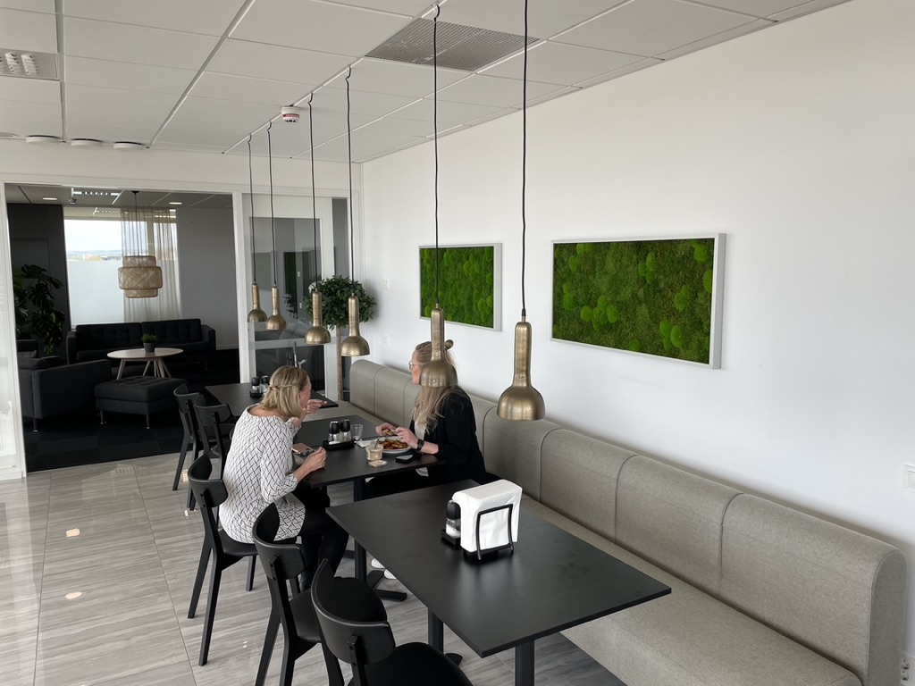 Montania Halmstad – från svartvitt till varmt och grönt